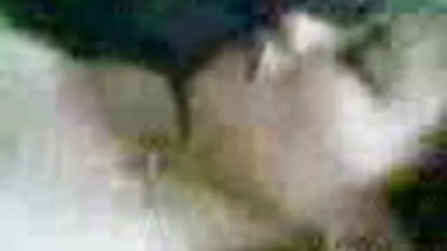 bella teen catturato aratura vecchio ragazzo 4 luglio in esclusiva roberta gemma film hard
