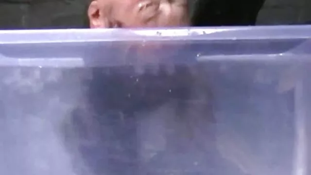 Possibilità di Alex-succhia il boner video hard mogli troie fino a quando la mascella si blocca
