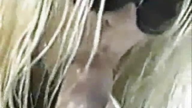 Bionda miiishanya mostra il suo corpo nudo e si masturba film hard con donne mature (registrazione privata)