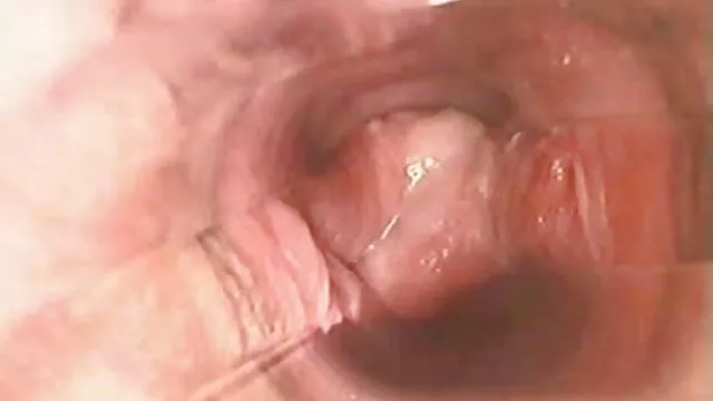3 cazzo con stretto imbavagliata video hard incinta bruna all'aperto